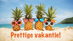 Geniet van een kleurrijke vakantie!