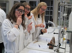 Welkom in het tweede trimester Welkom in het tweede trimester