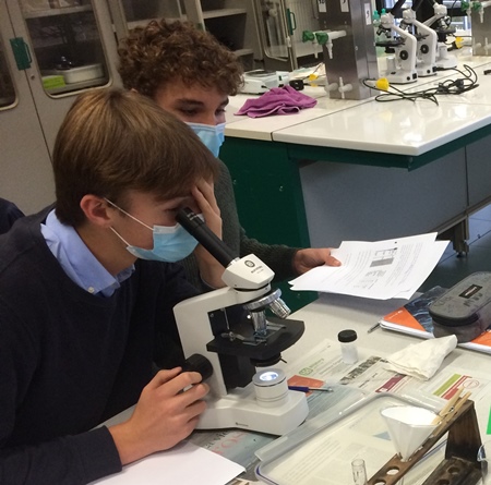 Kiwi's als eersten onder microscopen van ouderraad Kiwi's als eersten onder microscopen van ouderraad