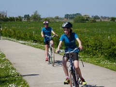 Zonovergoten triatlon in Diksmuide